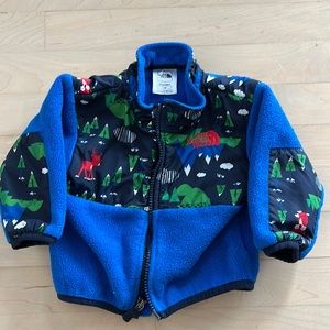 The Northface Fleece